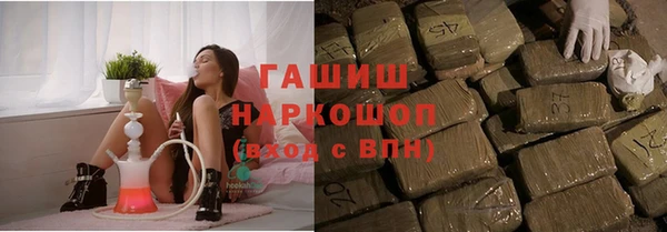 индика Армянск