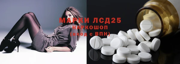 индика Армянск