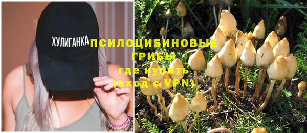 индика Армянск