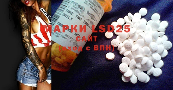 индика Армянск