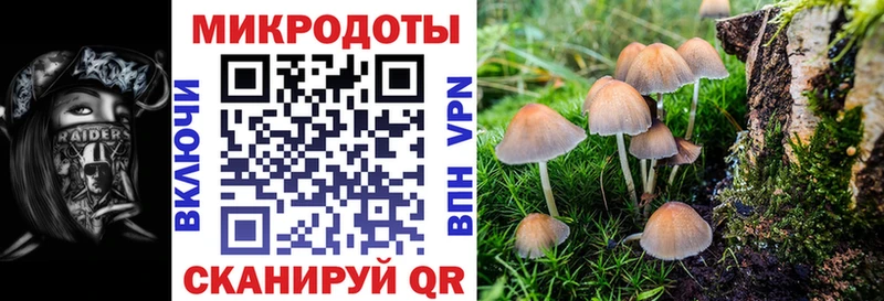 Псилоцибиновые грибы Cubensis  Купить  Выкса 